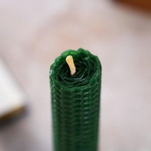 Свеча из зелёной вощины с базиликом «Искра удачи», 2,3?20 см