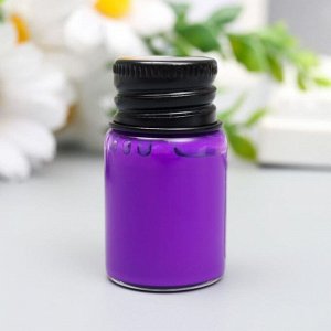 Чернила флуорисцентные "Фиолетовый" 5 мл 4х2х2 см