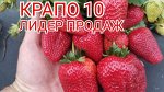 Крапо 10