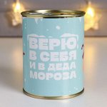 Копилка-банка металл &quot;Верю в себя и в Деда Мороза&quot;