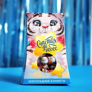 Подарочные шоколадные конфеты «Счастья до небес», 150 г.