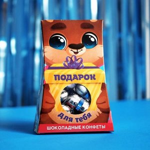 Подарочные шоколадные конфеты «Подарок для тебя», 150 г.