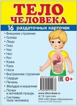 Обучающие карточки &quot;Тело человека&quot;