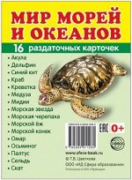 Обучающие карточки &quot;Мир морей и океанов&quot;  8