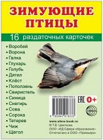 Обучающие карточки &quot;Зимующие птицы&quot;
