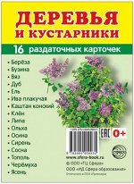 Обучающие карточки &quot;Деревья и кустарники&quot;