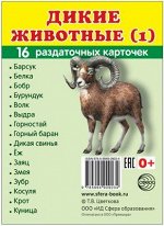 Обучающие карточки &quot;Дикие животные 1&quot;
