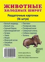 Обучающие карточки &quot;Животные холодных широт&quot;
