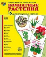 Обучающие карточки &quot;Комнатные растения&quot;