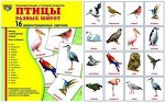 Обучающие карточки &quot;Птицы разных широт&quot;