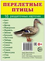 Обучающие карточки &quot;Перелетные птицы&quot;