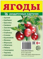 Обучающие карточки &quot;Ягоды&quot;