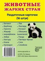Обучающие карточки &quot;Животные жарких стран&quot;
