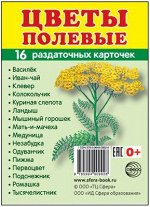Обучающие карточки &quot;Цветы Полевые&quot;