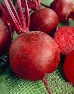 Свекла столовая Красный шар