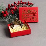 Ключница тигр на ключе &quot;Достатка в дом&quot;, 10,2 х6,5 см