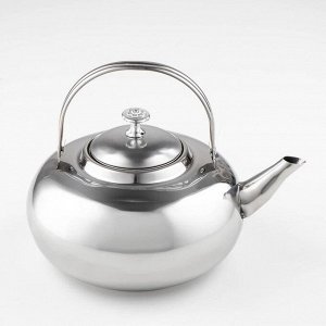 Чайник «Гретель», 1,6 л, 24x18x12 см, металлическое сито, цвет хромированный