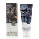 3W Clinic Пенка для умывания с древесным углём Charcoal Foam Cleansing  Pure Natural