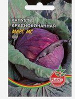Семена Капуста краснокочанная &quot;Марс&quot;, 0,5 г