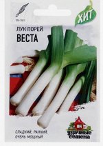 Семена Лук порей &quot;Веста&quot;, 0,5 г