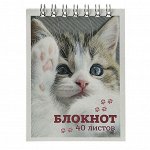 ClipStudio Блокнот А7 40 листов, офсет, обложка картон, спираль, в клетку