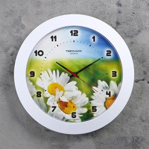 Часы настенные, серия: Цветы, "Ромашки", белый обод, 30х30 см