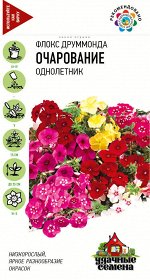 Флокс Очарование, Друммонда, смесь 0,2 г Уд. сем.