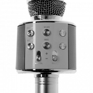 Микрофон для караоке Belsis MA3001BE, Bluetooth, FM, microSD, серебристый