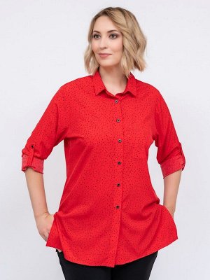 Блуза Круиз красный черный
