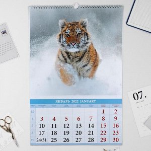 Календарь перекидной на ригеле "Символ года 2022 - 1 " 2022 год, 320х480 мм