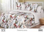 Tropicana