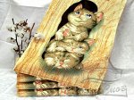 Полотенце BOLANDGE Япония баня КОШКИ 70*140 C 2017