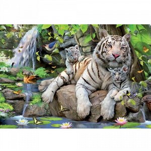 Пазл Белые Бенгальские тигры, 1000 элементов (Educa)