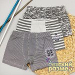 Боксеры