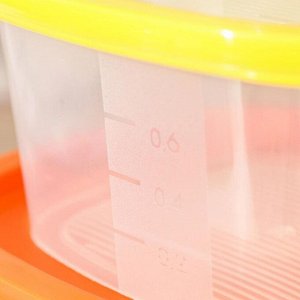 Набор пищевых контейнеров «BioFresh», 4 шт: 230 мл, 500 мл, 900 мл, 1,55 л, пластик, крышка МИКС
