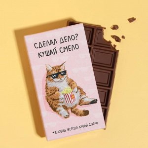 Шоколад молочный «Сделал дело? Кушай смело», 27 г