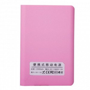 Внешний аккумулятор PB12 12000 mAh (pink) (поврежденная упаковка)