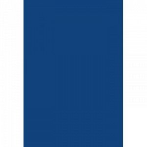 Блокнот на спирали А6 50л клетка "Синий" С0369-03 однотонный АппликА {Россия}