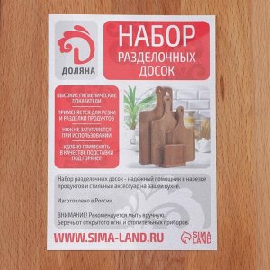 Набор разделочных досок с прямой ручкой Доляна, 2 шт: 32,5?17 см, 39?19 см, берёза