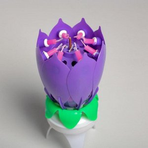 Свеча для торта музыкальная "Тюльпан", крутящаяся, фиолетовая, 14,5?6 см