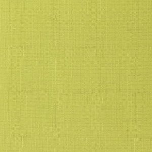 Штора рулонная Shantung, 100х150 см, цвет зелёный