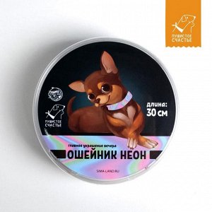 Ошейник для собак и кошек с фастексом «Неон», 30 х 1 см, цвет МИКС