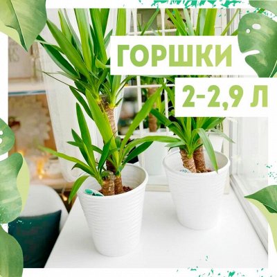Нужная покупка👍 Залог эффективного ухода за садом — Горшки 2-2.9л