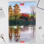 Календарь перекидной на ригеле &quot;Очарование природы&quot; 2022 год, 320х480 мм