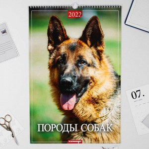 Календарь перекидной на ригеле "Породы собак" 2022 год, 320х480 мм