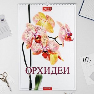 Календарь перекидной на ригеле "Орхидеи" 2022 год, 320х480 мм