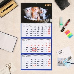 Календарь квартальный трио "Коты, 2022 - 1" 31 х 69 см