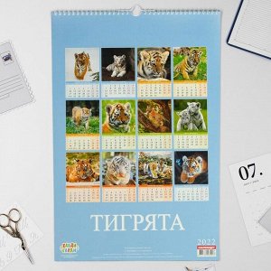 Календарь перекидной на ригеле "Тигрята" 2022 год, 320х480 мм
