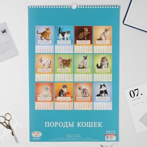 Календарь перекидной на ригеле "Породы кошек" 2022 год, 320х480 мм