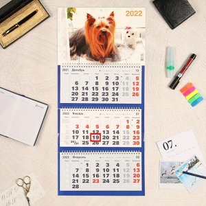 Календарь квартальный трио "Собаки, 2022 - 1" 31 х 69 см